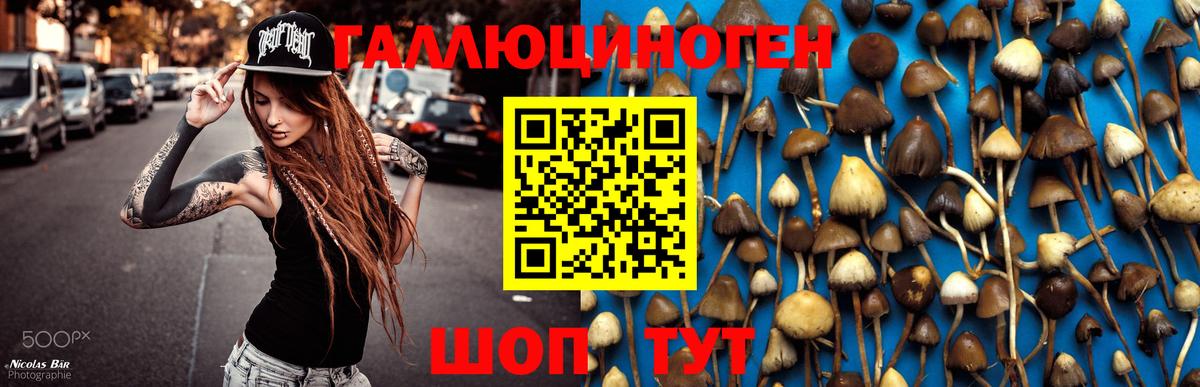 Псилоцибиновые грибы Magic Shrooms Подольск